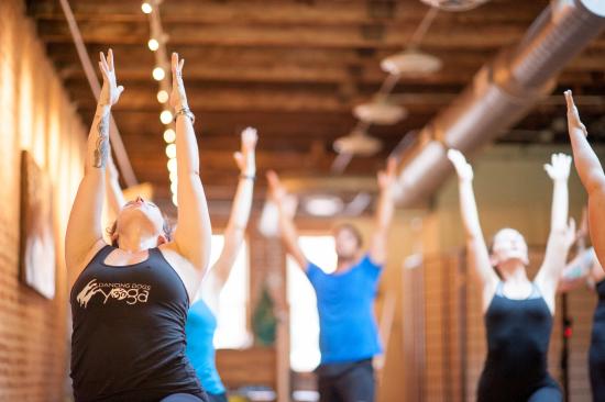 dancing-dogs-yoga-savannah